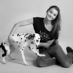 Haustier Shooting
