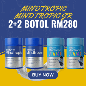 2 Mindtropic dan 2 Mindtropic JR