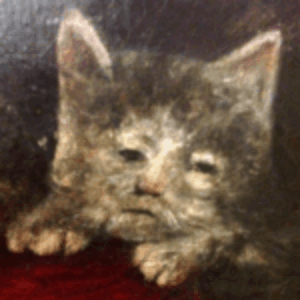 Profile photo of Yeboi