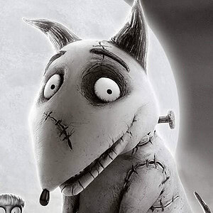 Profile photo of MoxCaller