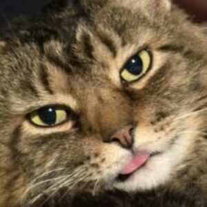 Profile photo of spacemate