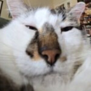 Profile photo of Mara