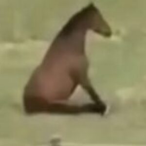 Profile photo of nathanb113