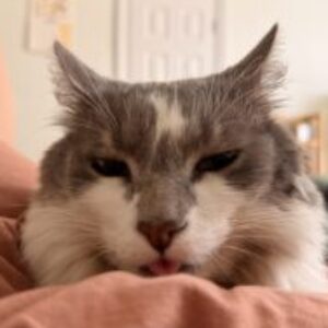 Profile photo of blakkatz