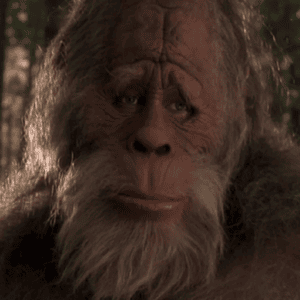Profile photo of Surly Sasquatch