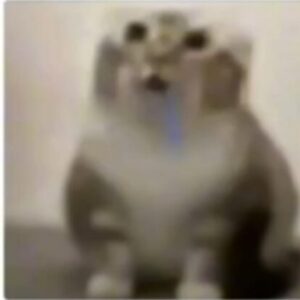Profile photo of pofiee