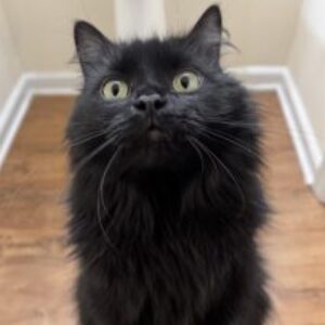 Profile photo of Hali Clubb