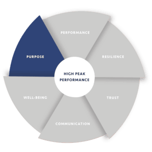 HighPeakPerformance-purpose