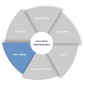 HighPeakPerformance-wellbeing