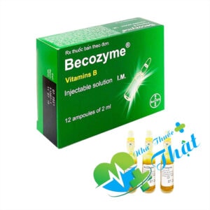 Becozyme Hộp 12 Ống
