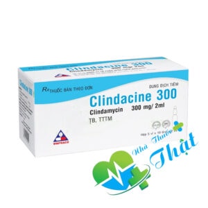 Clindacine 300 Hộp 50 Ống