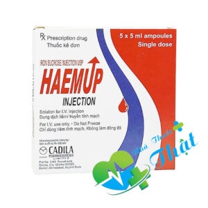 Haemup Injection Hộp 5 Ống