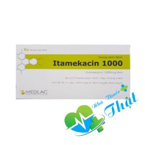 Itamekacin 1000 Hộp 10 Ống