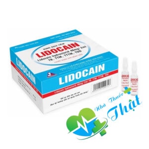 Lidocain Hộp 100 Ống