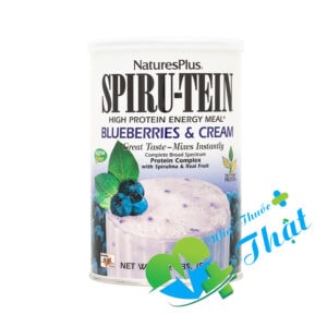 Spiru Tein Blueberry Cream Hộp 510g