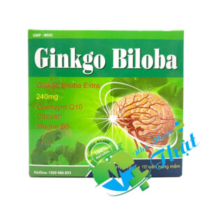 Ginkgo Biloba 240mg Hộp 100 Viên