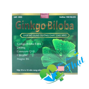 Ginkgo Biloba 240mg Hộp 100 Viên