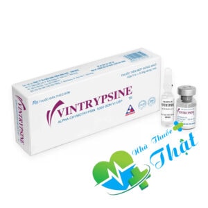 Vintrypsine Hộp 5 Kit