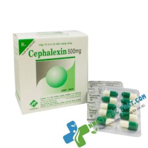 Cephalexin Hộp 100 Viên - Điều Trị Nhiễm Khuẩn