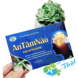 An Tâm Não Hộp 60 Viên - Hỗ Trợ Tuần Hoàn Máu Não