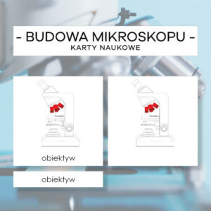 Budowa mikroskopu - karty naukowe 12 szt.