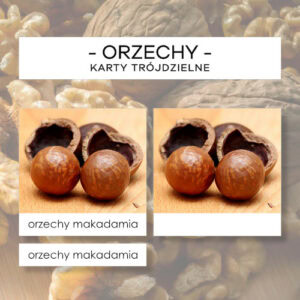 Orzechy - karty trójdzielne 10 szt.