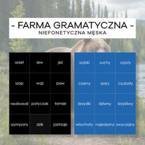 Farma gramatyczna niefonetyczna męska