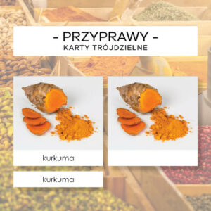 Przyprawy - karty trójdzielne 24 szt.