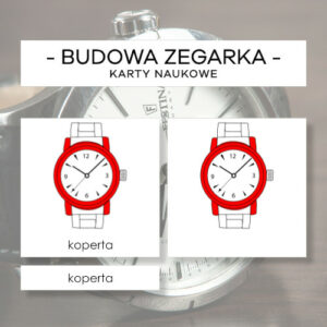 Budowa zegarka - karty naukowe 6 szt.