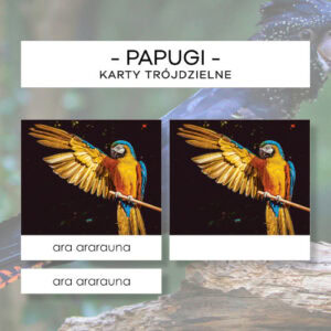 Papugi - karty trójdzielne 20 szt.
