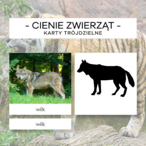 Cienie zwierząt cz. 2 - karty trójdzielne 25 szt.