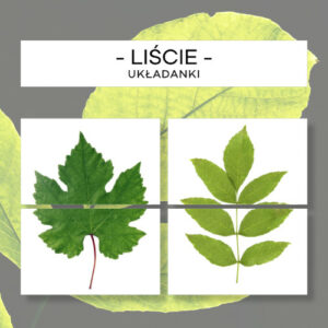 Liście - puzzle 12 szt.