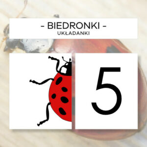 Biedronki - puzzle 10 szt.