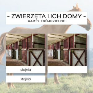 Zwierzęta i ich domy - karty trójdzielne 36 szt.