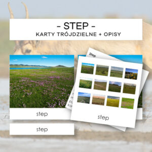 Biomy - step - karty trójdzielne 37 szt. + opisy