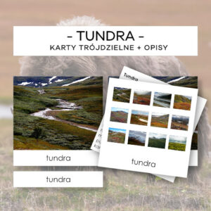 Biomy - tundra - karty trójdzielne 37 szt. + opisy