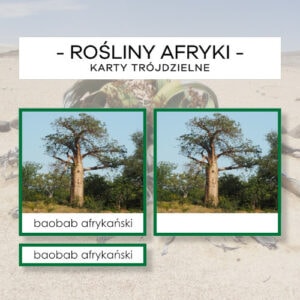 Rośliny Afryki - karty trójdzielne 10 szt.