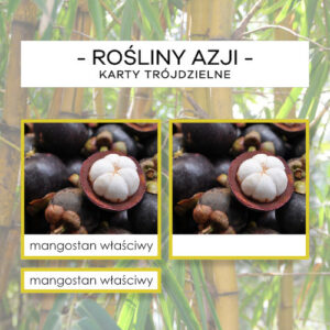 Rośliny Azji - karty trójdzielne 10 szt.