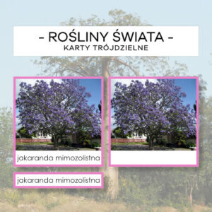 Rośliny Świata - karty trójdzielne 60 szt.