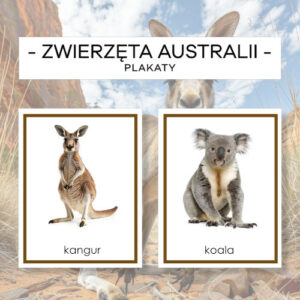 Zwierzęta Australii – plakaty A4
