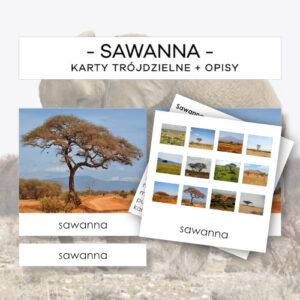 Biomy - sawanna - karty trójdzielne 37 szt. + opisy