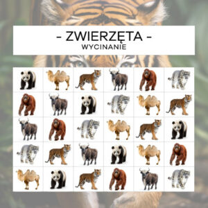 Zwierzęta Azji - wycinanie