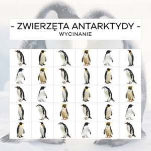 Zwierzęta Antarktydy - wycinanie