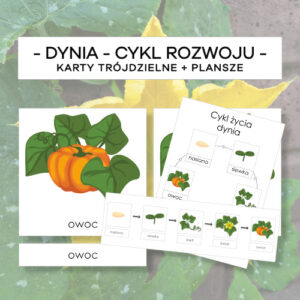 Dynia – cykl rozwoju – karty trójdzielne 5 szt. + plansze 2 szt.