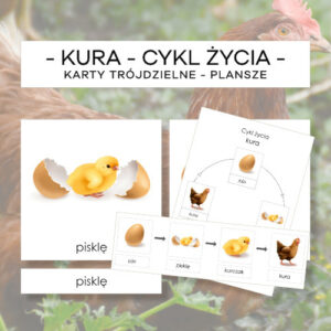Cykl życia kury - karty trójdzielne 4 szt. + plansze 2 szt.