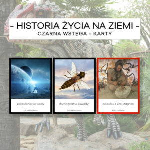 Historia życia na Ziemi - czarna wstęga - karty 172 szt.