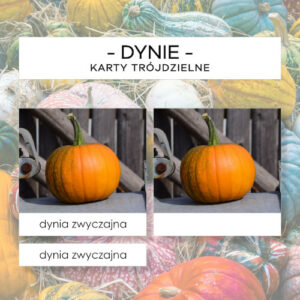 Dynie - karty trójdzielne 25 szt.