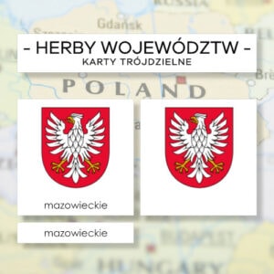 Polska - herby województw - karty trójdzielne 16 szt.