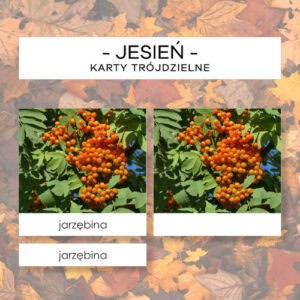 Jesień - karty trójdzielne 10 szt.