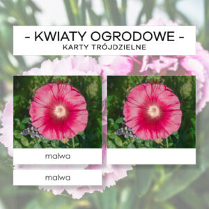 Kwiaty ogrodowe - karty trójdzielne 10 szt.